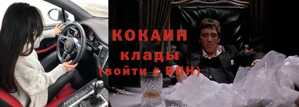 прущие грибы Аркадак