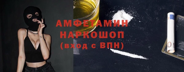 прущие грибы Аркадак