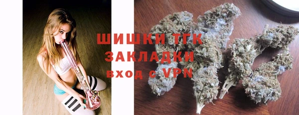 прущие грибы Аркадак