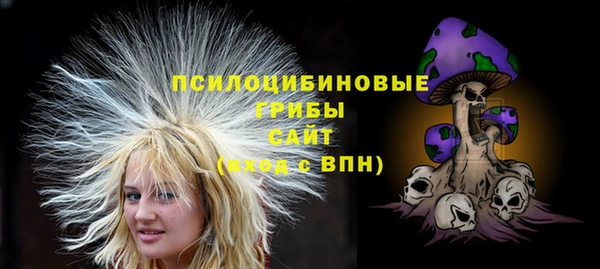 стафф Армянск