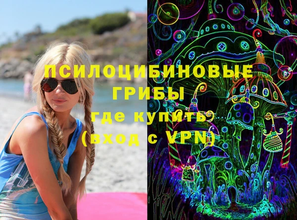 прущие грибы Аркадак