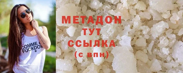 прущие грибы Аркадак