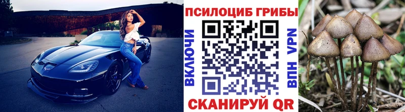 Галлюциногенные грибы ЛСД  Купить закладки  Гуково 